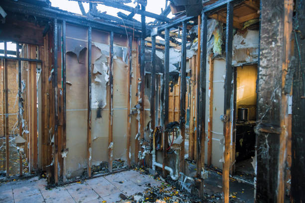 Professional Fire Damage Removal technician working in Burton, SC